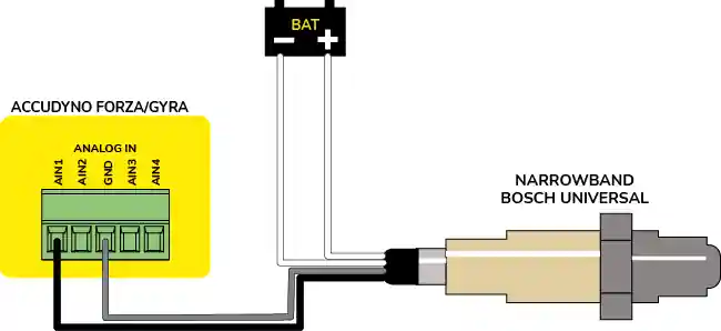 Connection to Accudyno